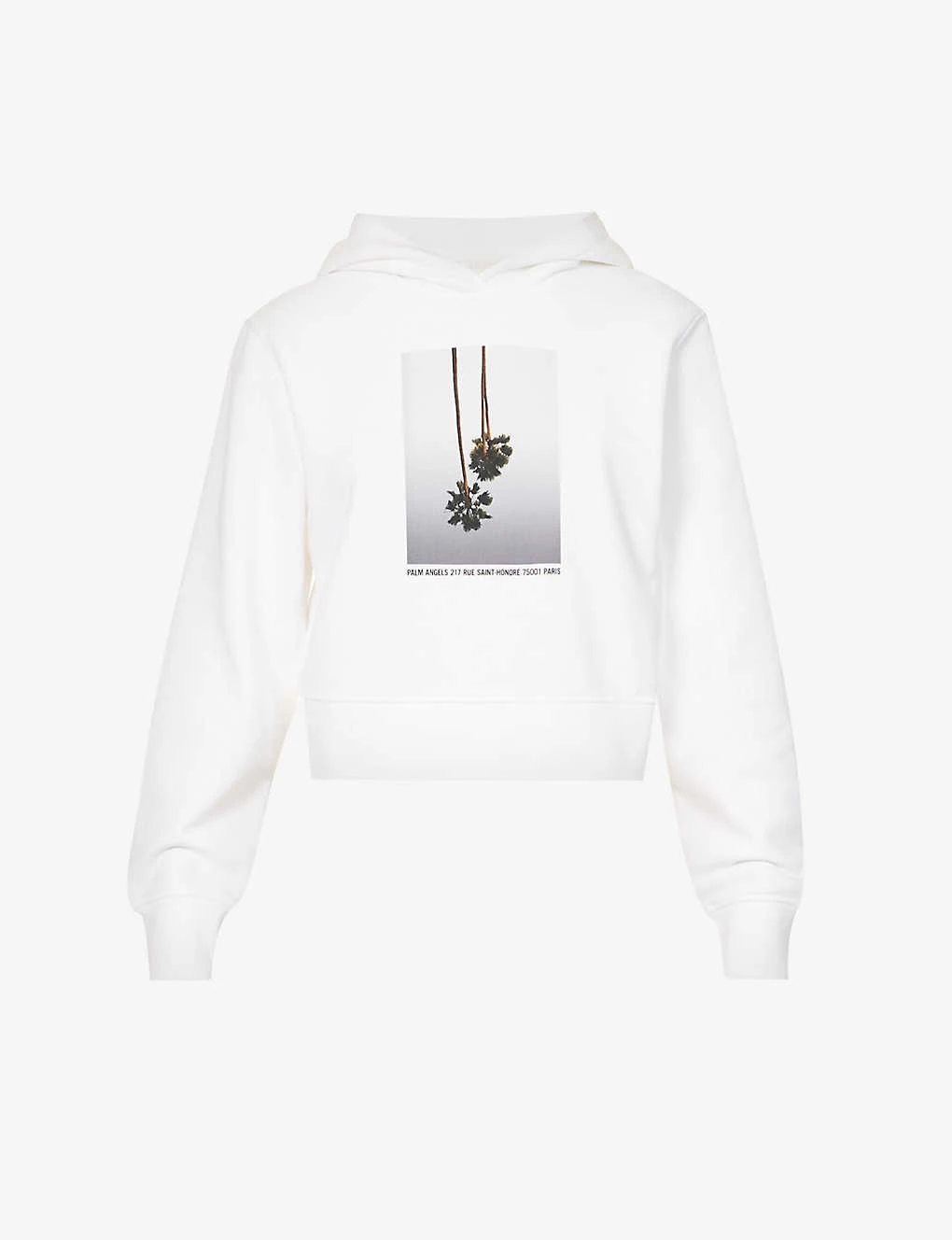 Palm Angels Graphic-print Branded Cotton-jersey Hoody